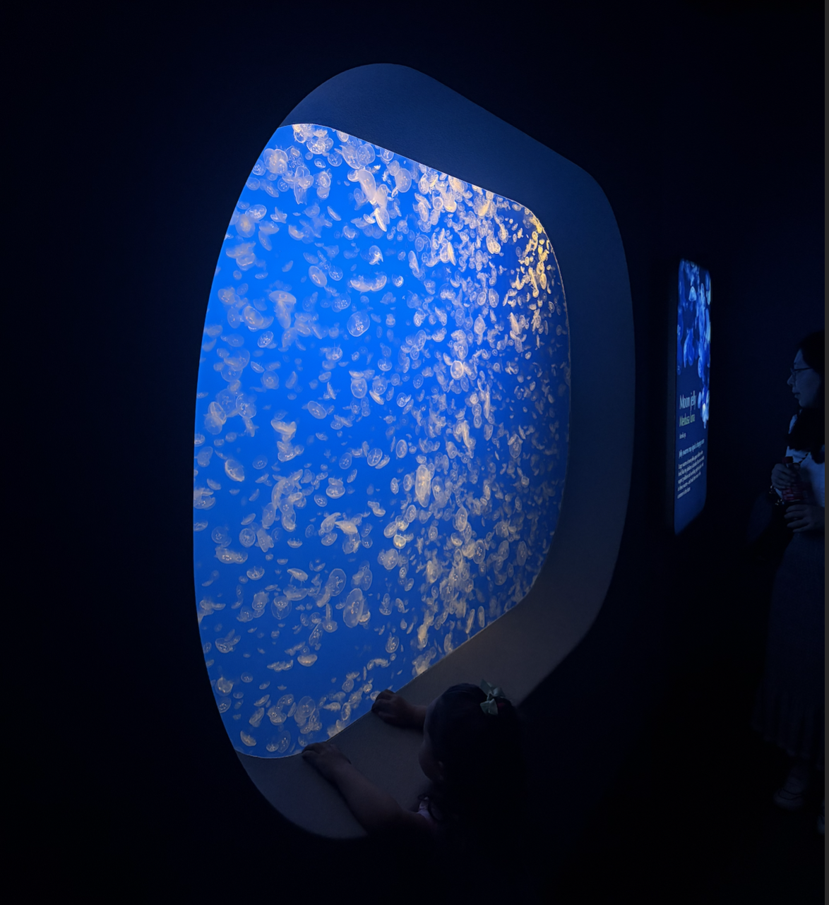 monterey bay aquarium, 2026